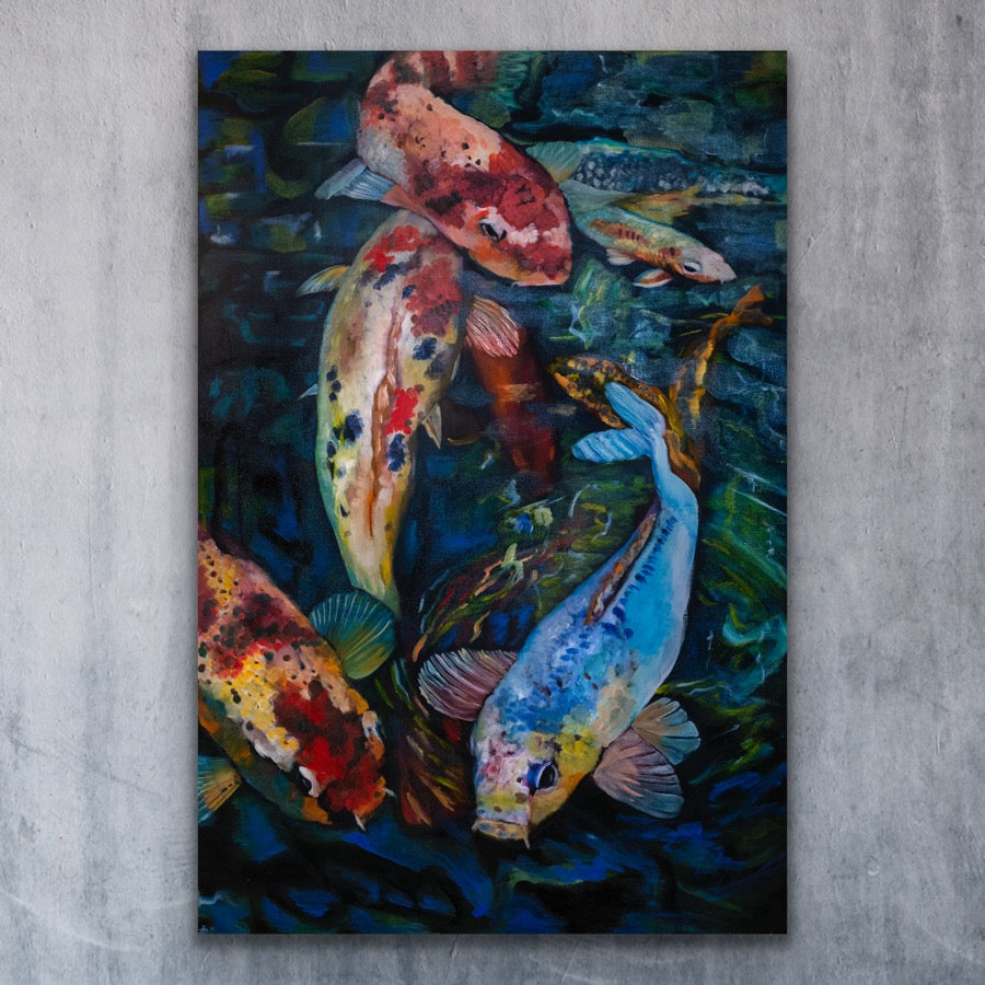 Koi Fish